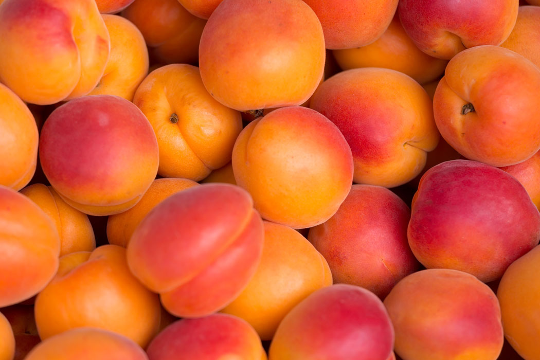 La marque des Comtes de Provence : compotes et confitures aux fruits du Vaucluse.