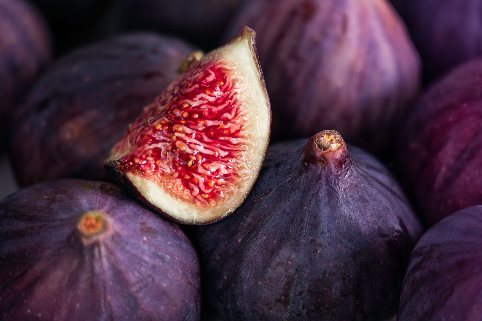 Manufacture des Comtes de Provence : compotes aux fruits du Vaucluse.